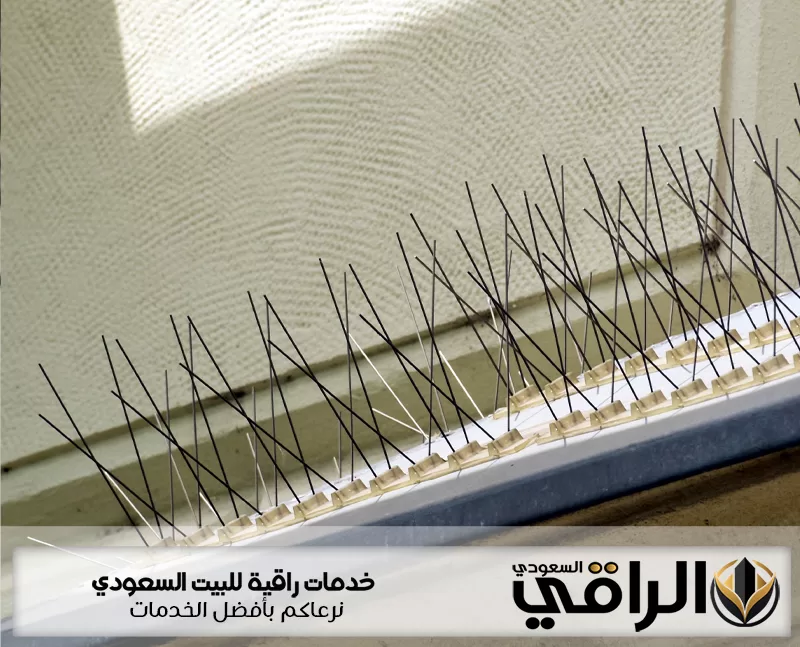 تركيب طارد الحمام بالرياض باستخدام أشواك معدنية مقاومة للطيور لمنع تجمع الحمام فوق الأسطح والمباني بشكل فعال.