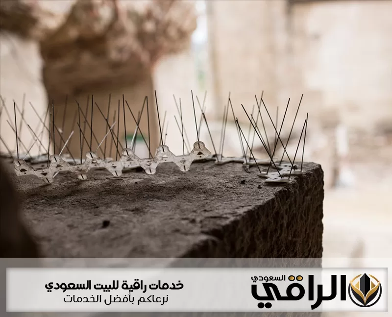 صفوف أشواك معدنية مثبتة على حافة خرسانية ضمن خدمة شركة تركيب طارد حمام بحفر الباطن ولمنع تجمع الطيور